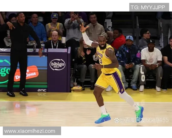 2019年2月24日湖人对阵鹈鹕的精彩对决回顾与赛后分析 2019年2月24日湖人对阵鹈鹕的精彩对决回顾与赛后分析