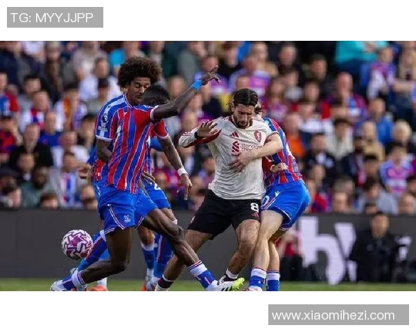 南安普顿与水晶宫激战正酣赛果揭晓引发球迷热议