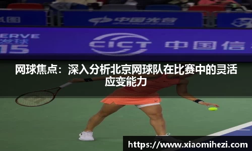 zoty中欧官方网站