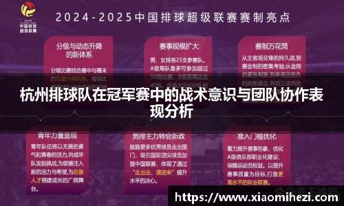 zoty中欧官方网站