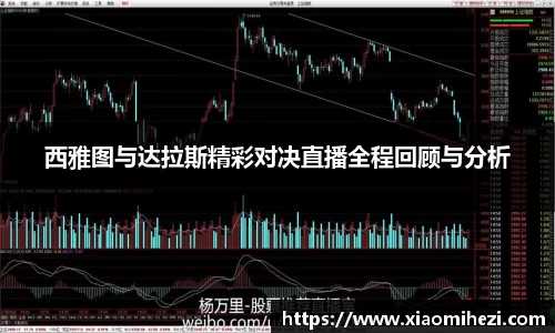 西雅图与达拉斯精彩对决直播全程回顾与分析